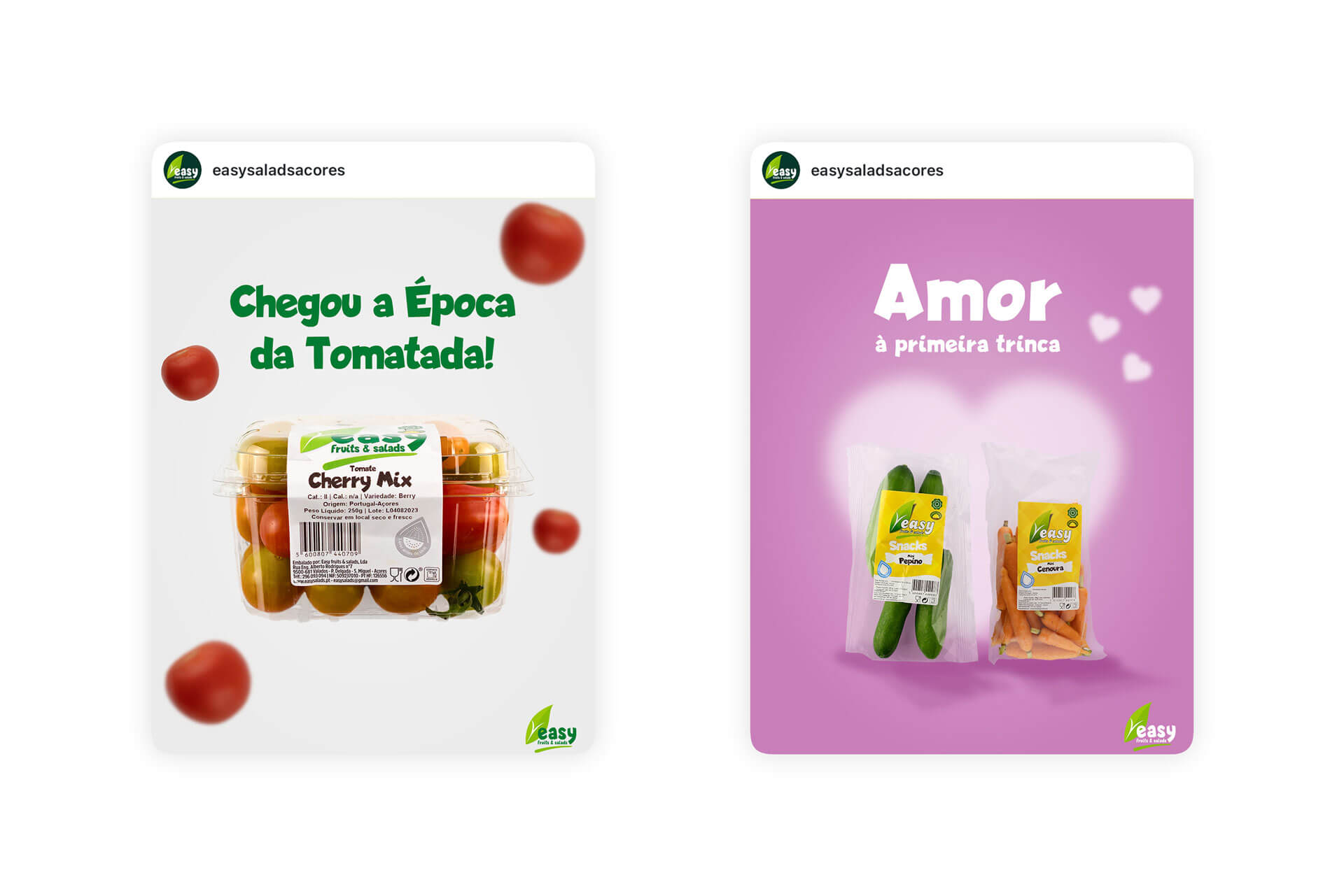 Publicação criativa da Easy Salads