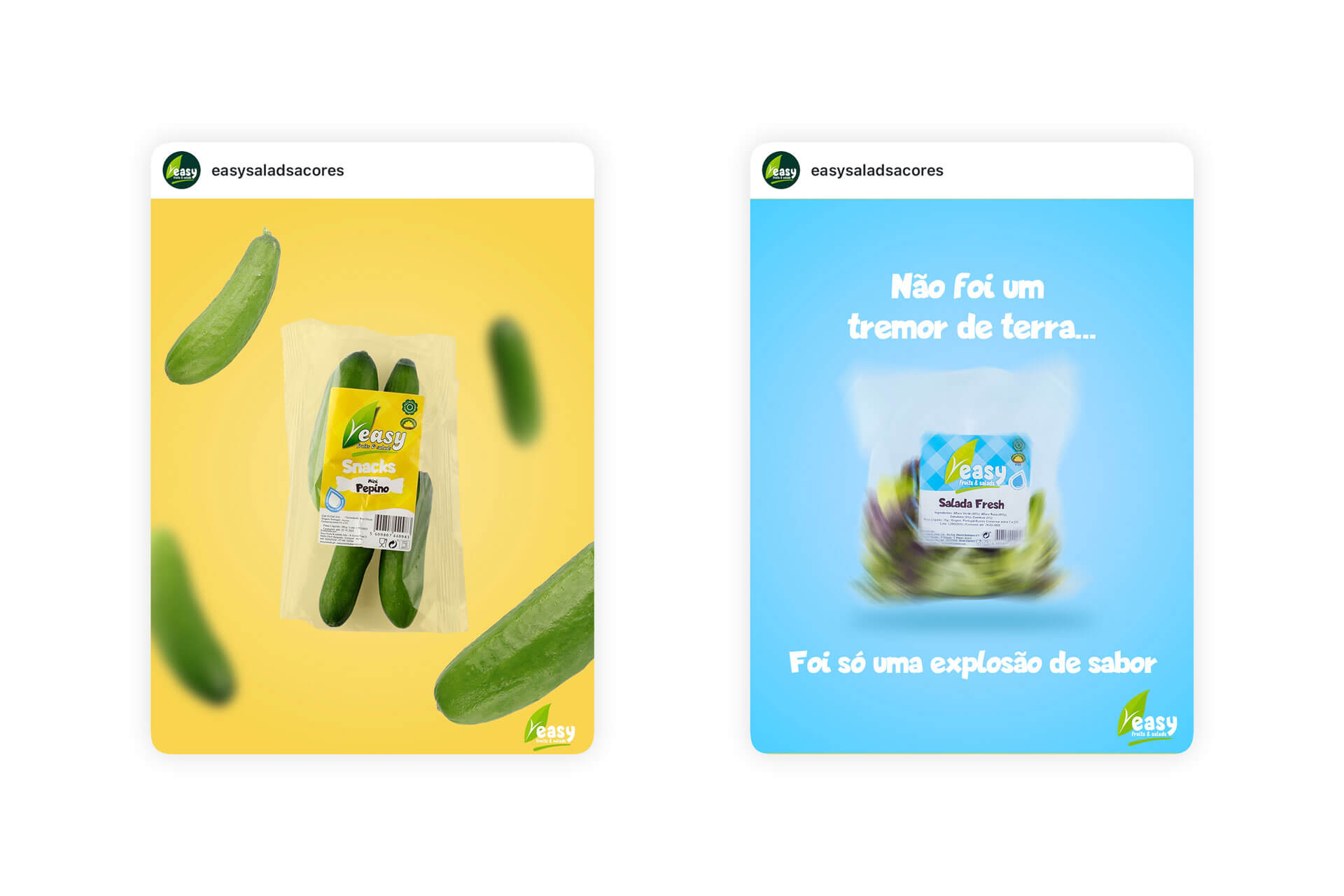 Publicação criativa da Easy Salads